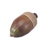 PLAY WOOD Music Shaker 