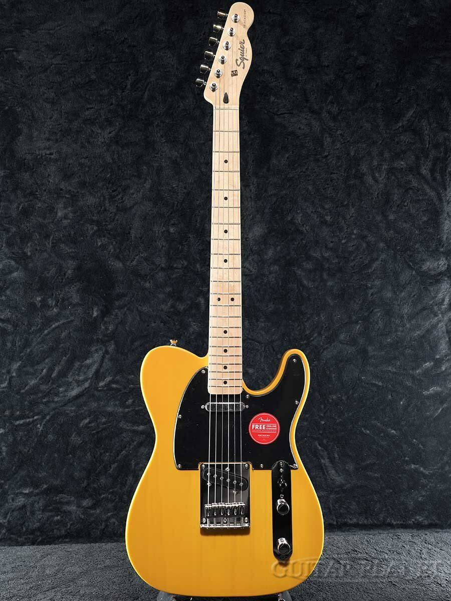 Squier Sonic Telecaster -Butterscotch Blonde- 新品