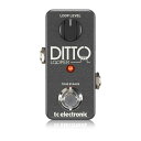 t.c.electronic DITTO LOOPER 新品 ルーパー