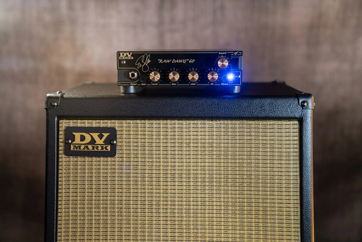 DV MARK DV RAW DAWG 60 / DVM-RDEG60/H 新品 ギター用アンプヘッド[DVマーク][Guitar Amplifier Head]