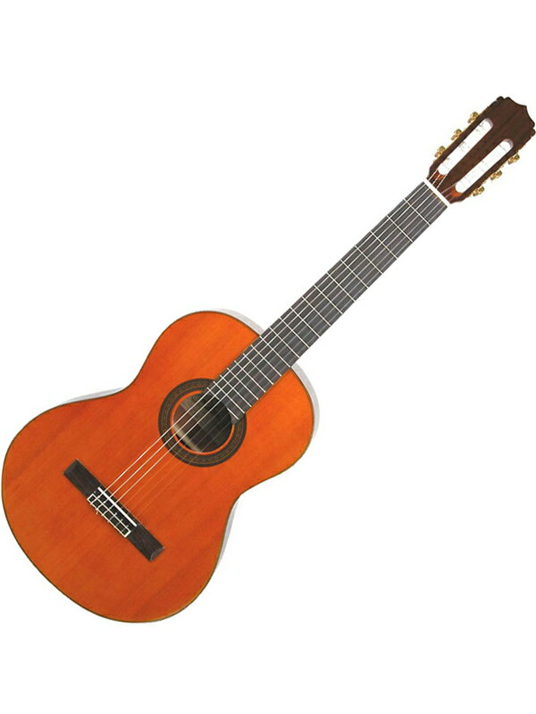 Aria A-20 Basic [ꥢ][Classical Guitar,饷å,åȥ]