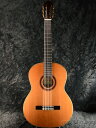 Cordoba F7 Paco 新品 コルドバ natural,木目 Classical Guitar,クラシックギター,エレガット,フラメンコ