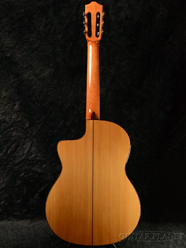 Cordoba GK Studio 新品[コルドバ][Spruce,スプルース][PU搭載][Classical Guitar,...