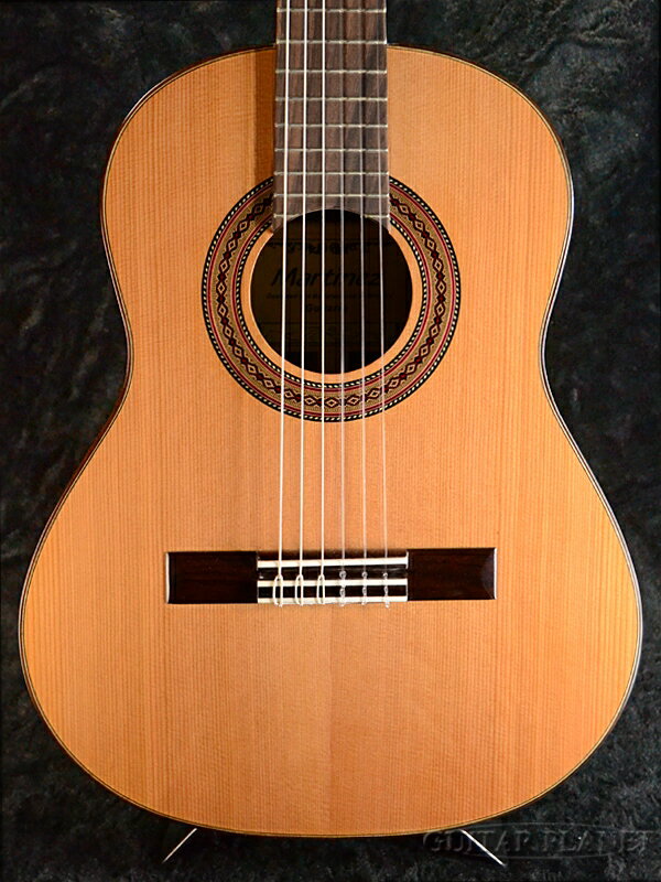 Martinez MR-520C 杉/ローズウッド 新品[マルティネス][Natural,ナチュラル][Class...