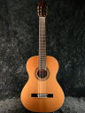 Martinez MC-58C 新品 マルティネス Classical Guitar,クラシックギター Acoustic Guitar,アコギ,アコースティックギター,Folk Guitar,フォークギター