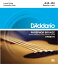 D'Addario 45-100 EPBB170 Phosphor Bronze Acoustic Bass  ƥå١[ꥪ][եե֥][١,string]
