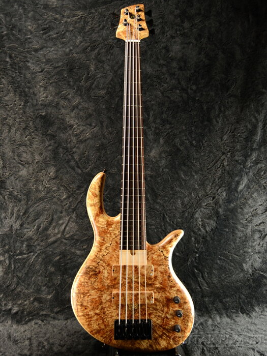 elrick Gold Series E-volution SLC 5 -Spalted Maple- 新品[エルリック][ゴールドシリーズ][エボリューション][スティーブ・ローソン][スポルテッドメイプル][5strings,5弦][Electric Bass,エレキベース]