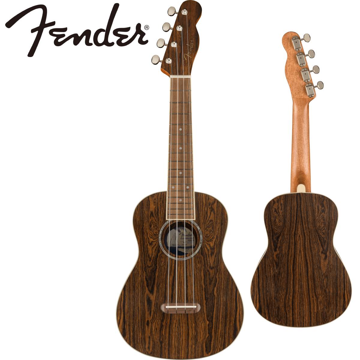 Fender ZUMA EXOTIC CONCERT UKULELE -Natural Bocote- 新品[フェンダー][コンサートウクレレ]