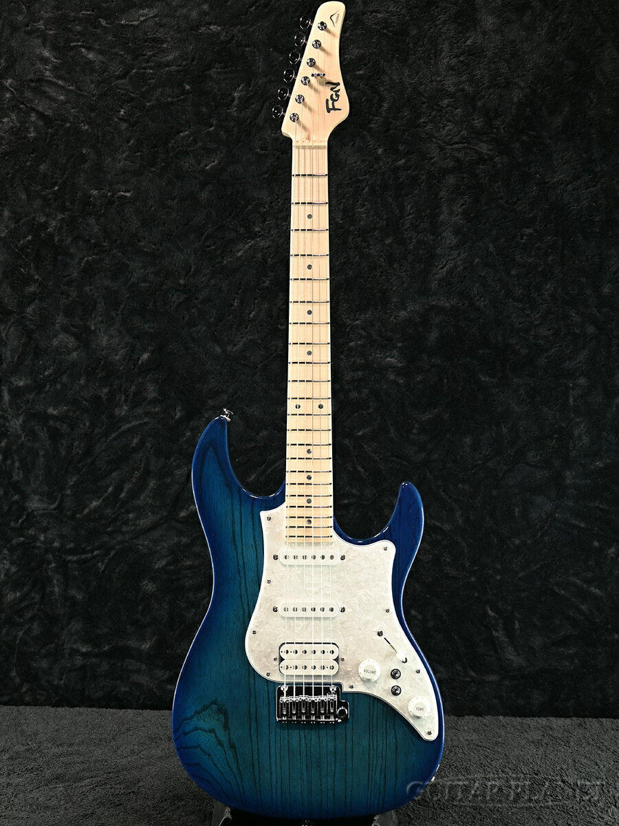 Fender ジャパン ヴィンテージ フジゲン製Gシリーズハードケース