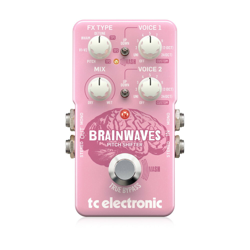 t.c.electronic Brainwaves Pitch Shifter 新品 ピッチシフター[tcエレクトロニック][Effector,エフェクター]
