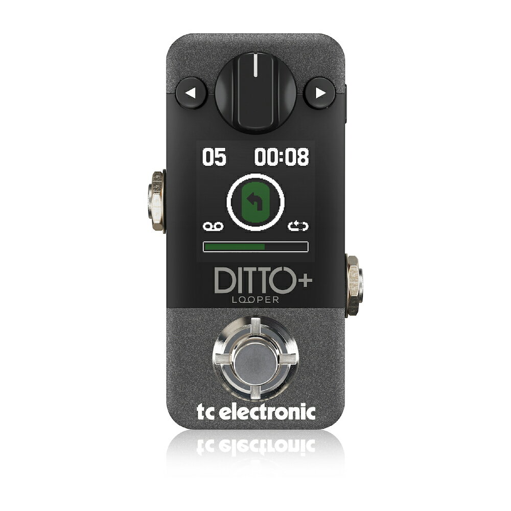 t.c.electronic DITTO LOOPER 新品 ルーパー tcエレクトロニック Effector,エフェクター