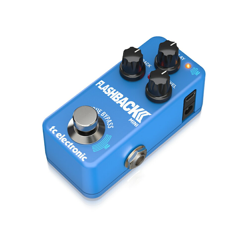 t.c.electronic Flashback 2 Mini Delay 新品 ディレイ[tcエレクトロニック][Effector,エフェクター] 3