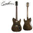 Godin Radium -Carbon Black- 新品 ゴダン ブラック,黒 Electric Guitar,エレキギター