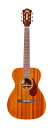 Guild M-120 -The Westerly Collection- Vi NAT[Mh][Natural,i`][Acoustic Guitar,AR[XeBbNM^[,Folk Guitar,tH[NM^[][M120]