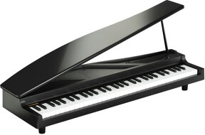 KORG micro PIANO 新品 ブラック[ミニ鍵盤][コルグ][マイクロピアノ][電子ピアノ][Digital Piano][Black,BLK,黒][microPIANO]