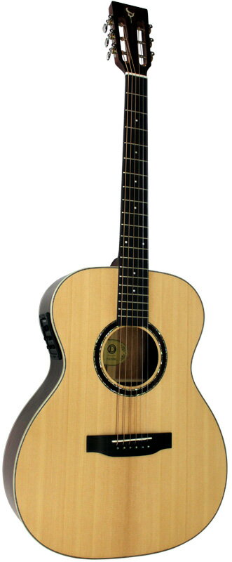 DCT H-310 SM E 新品[フィッシュマン搭載][Spruce,スプルース単板TOP][Acoustic Guitar,アコギ,アコースティックギター,Folk Guitar,フォークギター]