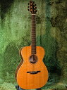【数量限定特価】McNally Guitars ~Foundation Series~ OM-32 Indian Rosewood/ Sitka Spruce ...