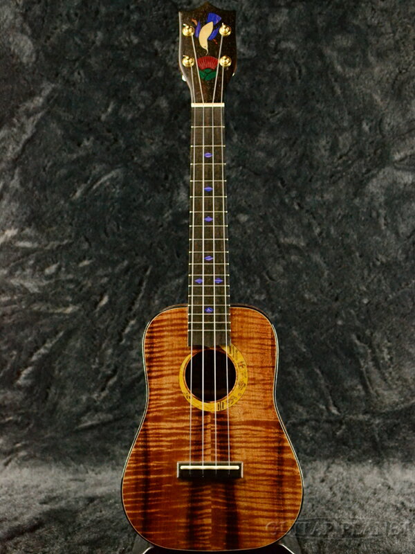 I'iwi Concert Premium Series Custom S3B 新品[イーヴィー][プレミアムシリーズ][Hawaiian Koa,ハワイアンコア][Ukulele,コンサートウクレレ]