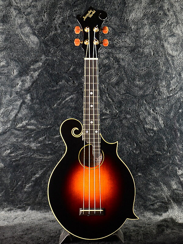 Acoustic World Flat Mandolin F Type Ukulele  󥵡ȥ [ƥå][][ޥɥ][Acoustic,ƥå][concert]