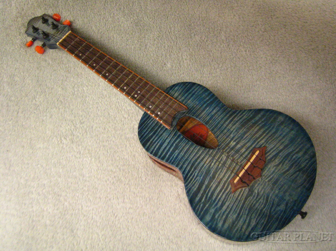 K-dee Guitars Concert Maple T.Blue  󥵡ȥ[ǥ][][][ᥤץ][Ukulele]