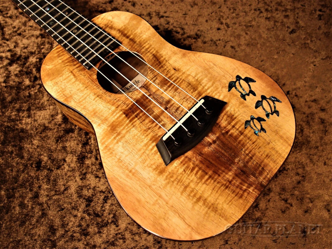 Kanile'a HNSC/PG Concert Premium Gloss[˥쥢][Hawaiian Koa,ϥ磻󥳥][󥵡ȥ,Ukulele]