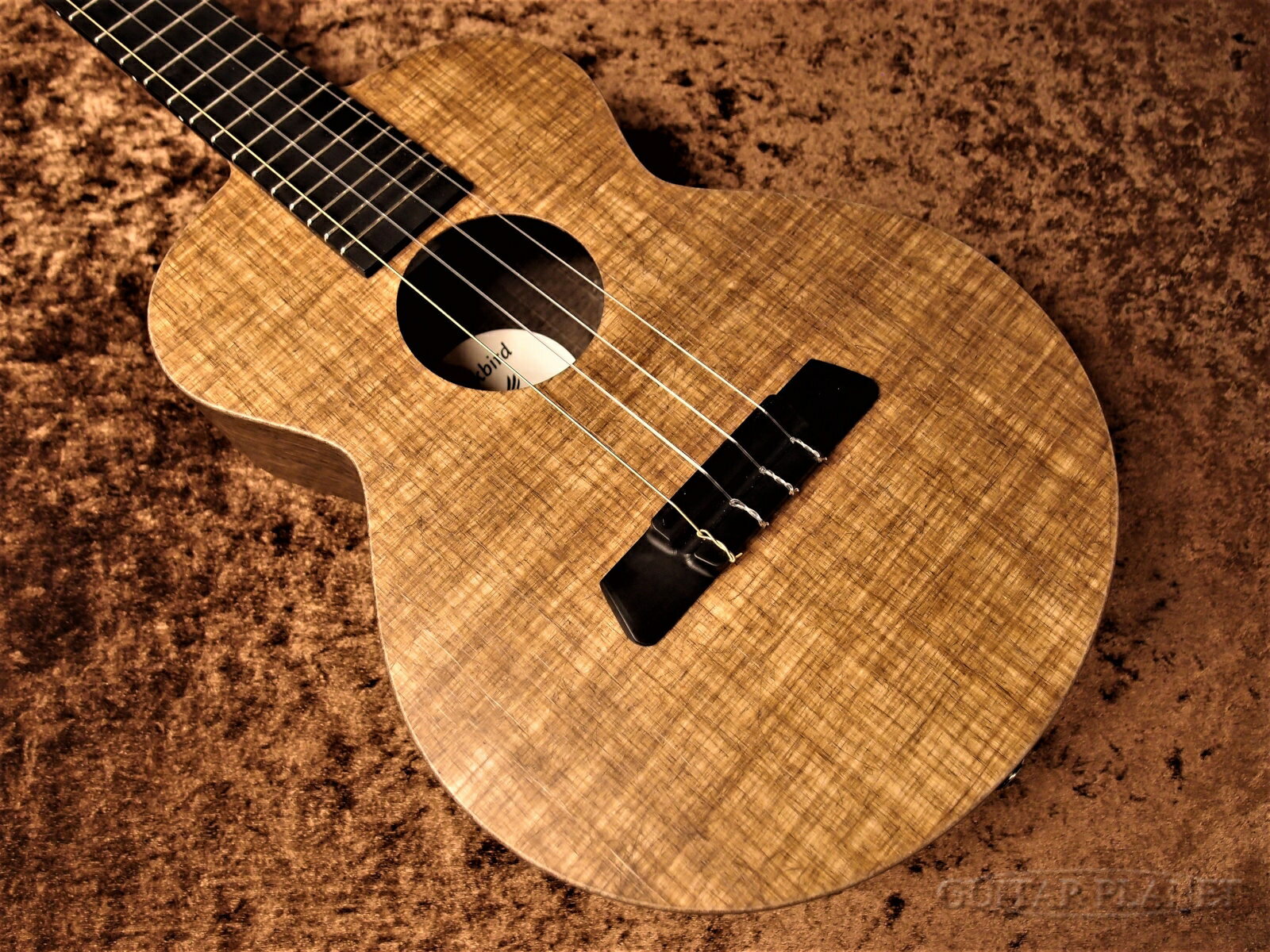 Blackbird Farallon Ekoa Tenor【テナー/Ekoa】【Made in U.S.A】【ピックアップ搭載】新品 テナーウクレレ[ブラックバード][Tenor Ukulele]