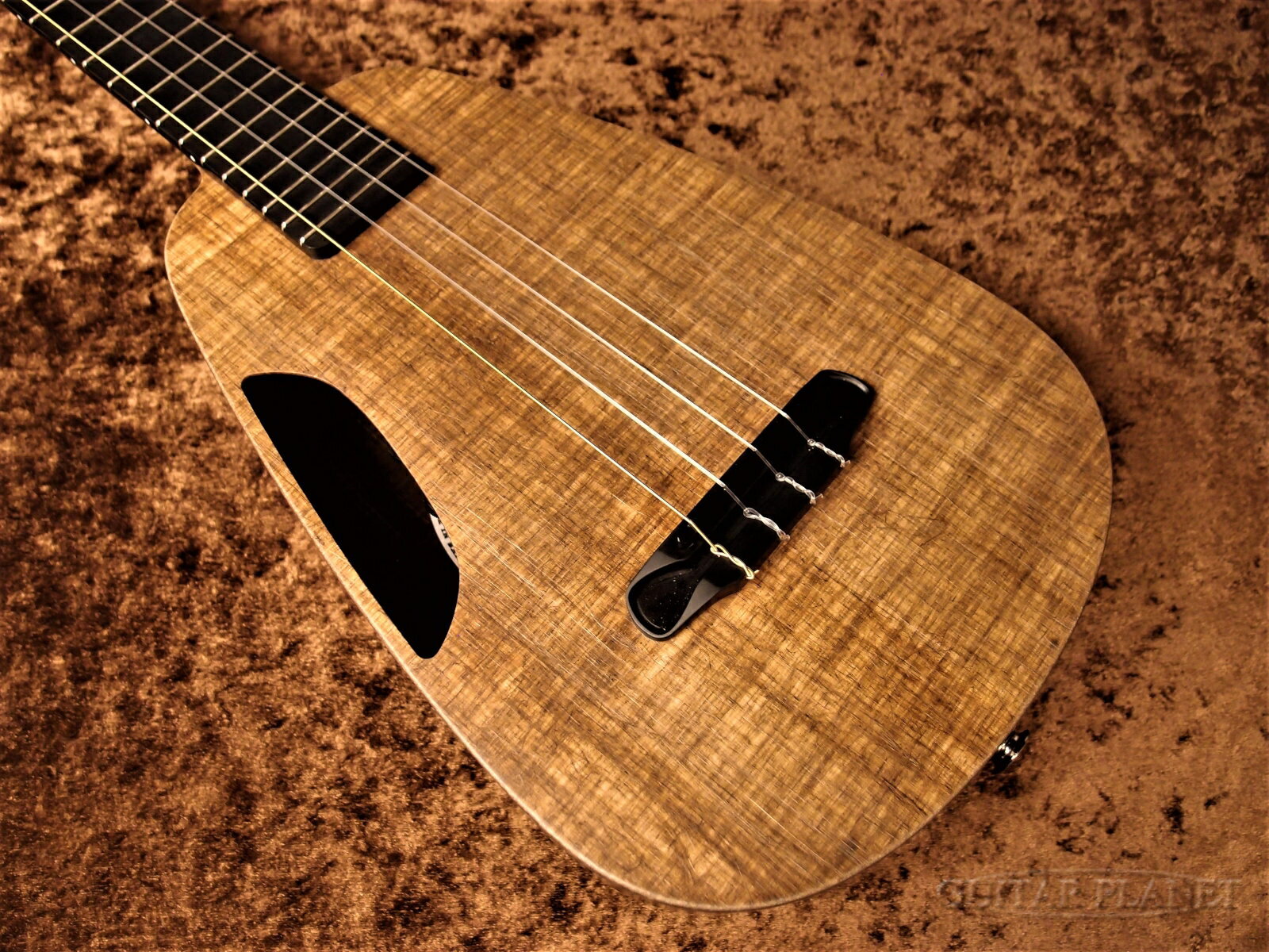 Blackbird Clara Concert 【コンサート/Ekoa】【Made in U.S.A】【ピックアップ搭載】新品 コンサートウクレレ[ブラックバード][Concert Ukulele]