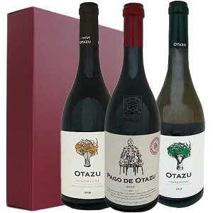 【ワインギフト】 送料無料（本州・四国） スペイン最高評パゴ・デ・オタズ含Pago de Otazu, Spain's top rated wine and two other estate wines. 手土産 ご挨拶 御礼 贈り物 プレゼント ギフト おすすすめ 高品質 特価 日本で当店のみ取扱 ギフト2本箱入