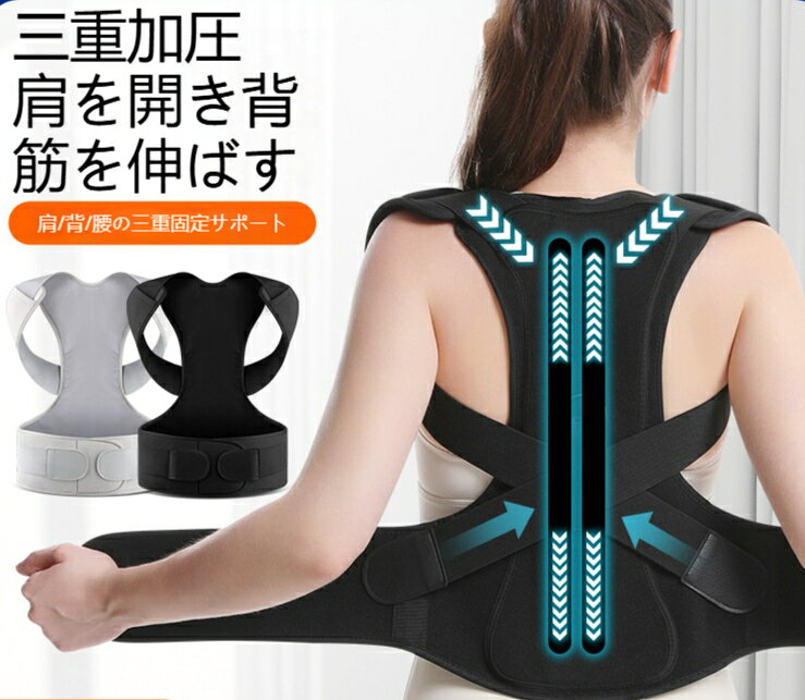 対象者：成人適用スポーツ: さまざまなアウトドアスポーツ保護部位：腰カテゴリ: 腰当て