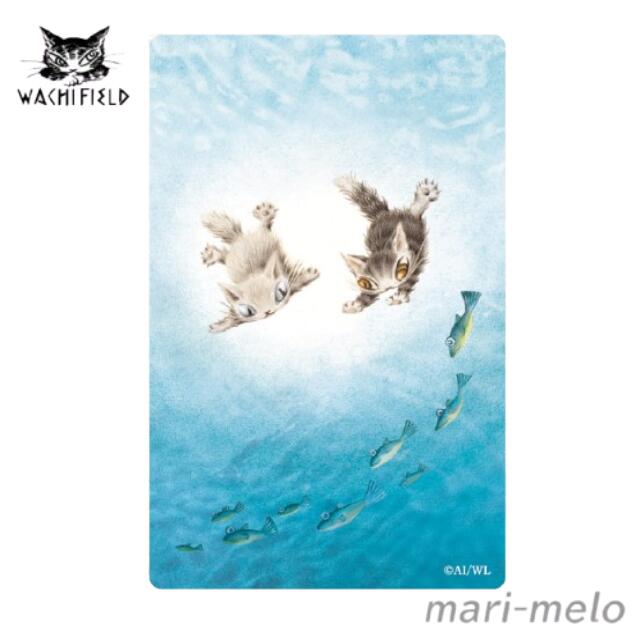 【10%OFFクーポン発行中！】 ダヤン わちふぃーるど クリアしおり 海の中 ダヤングッズ ねこ 猫のダヤン 猫 猫柄 wachifield 公式 かわいい キャラクター プレゼント ギフト 父の日 無料 ギフト ラッピング 24E
