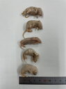 国産冷凍ピンクマウス M 30匹 (約3cm)(一部地域発送不可)