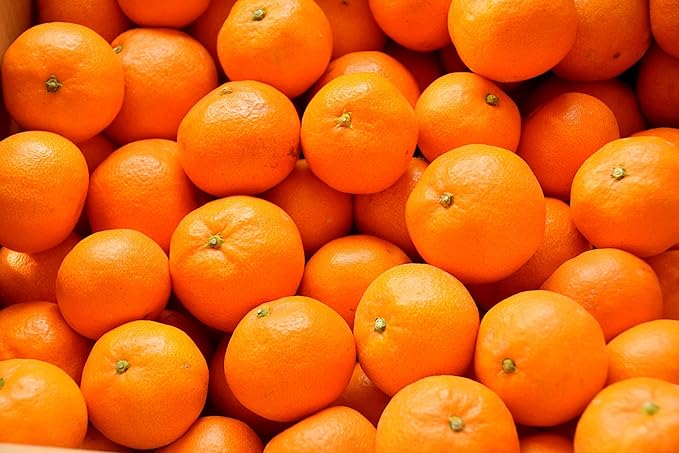 訳あり 有田みかん 和歌山県産 ご家庭用 箱込 2kg