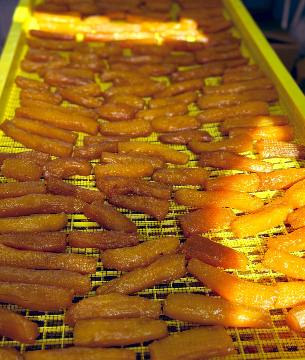 極蜜紅はるか 干し芋 熟成 とろ甘ねっとり 無添加1kg 送料無料 黄金芋 茨城県産 国産 さつまいも　お徳用 大容量 和菓子 お菓子 おやつ スイーツ さつま芋 サツマイモ 和スイーツ 食物繊維