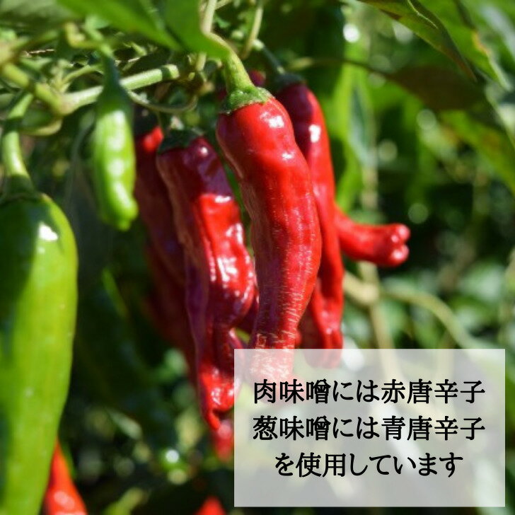 辛口 瓶詰め セット 3個 | セット内容 肉味噌 焼きねぎ味噌 わさび海苔 味噌 激辛 海苔 唐辛子 トウガラシ わさび 肴 ビール プレゼント ギフト 汗 タンパク質 カプサイシン スパイシー みそ のり おつまみ アレンジレシピ