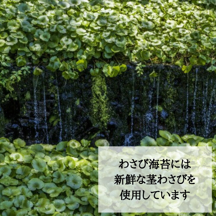 わさび海苔 210g｜ 海苔の佃煮 わさび ワサビ 山葵 わさび茎 わさび葉 ヒトエグサ ...