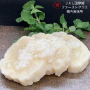 JAL国際線 ファーストクラス の 機内食 採用 皮つき べったら漬 半割 1本 | 大根 国産 べったら 漬物 東京名物 こうじ 糀 麹 米麹 さっぱり 熟成...