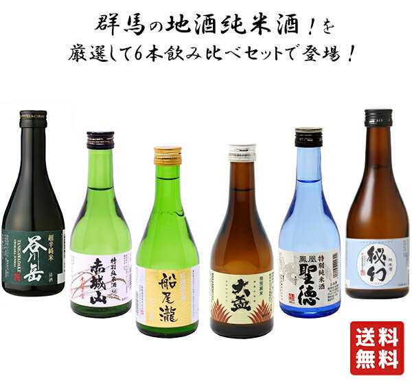 送料無料 【群馬の地酒 純米酒 飲み比べセット 6本 300ml】群馬の地酒 日本酒 お酒 酒 谷川岳 赤城山 船尾瀧 大盃 聖徳 秘幻 バレンタイン バレンタインデー プレゼント ギフト 飲み比べ 群馬 贈り物 内祝い 辛口 誕生日