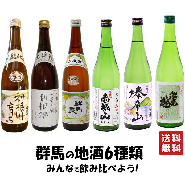 送料無料 【群馬の地酒 家飲みセット 本醸造 6本 720ml】バレンタイン バレンタインデー ケース買い ケース 群馬の地酒 本醸造 赤城山 光東 船尾瀧 利根錦 群馬泉 大盃 日本酒 酒 プレゼント …