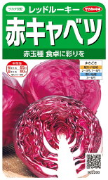 サカタ レッドルーキー キャベツ きゃべつ 実咲 野菜 野菜種 種子 種 たね タネ 家庭菜園 育てやすい