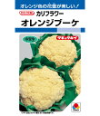 最安値挑戦中 タキイ オレンジブーケ カリフラワー DF 野菜 野菜種 種子 種 たね タネ 家庭菜園 育てやすい