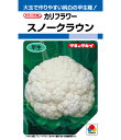 最安値挑戦中 タキイ スノークラウン カリフラワー DF 野菜 野菜種 種子 種 たね タネ 家庭菜園 育てやすい