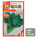 最安値挑戦中 タキイ 福兵衛 ホウレンソウ ほうれん草 法蓮草 RF M3万粒 野菜 野菜種 種子 種 たね タネ 家庭菜園 育てやすい