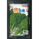 ホウレンソウ 徳兵衛 M3万粒野菜 種子 べと病レース1?15・17・19に抵抗性をもつ。生育旺盛な早生種で、秋から春まで播種期幅が広く、冬どり栽培も可能。葉柄が太く株張りのよい多収種で、収穫・調製作業が容易。5