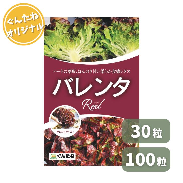 ぐんたね ジャムレタス バレンタレッド コート種子 30粒 100粒 レタス れたす 野菜 野菜種 種子 種 たね タネ 家庭菜園 育てやすいのサムネイル