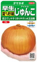 最安値挑戦中 サカタ 早生 アイドルじゅんこ タマネギ たまねぎ 玉ネギ 玉ねぎ 玉葱 実咲 野菜 野菜種 種子 種 たね タネ 家庭菜園 育てやすい
