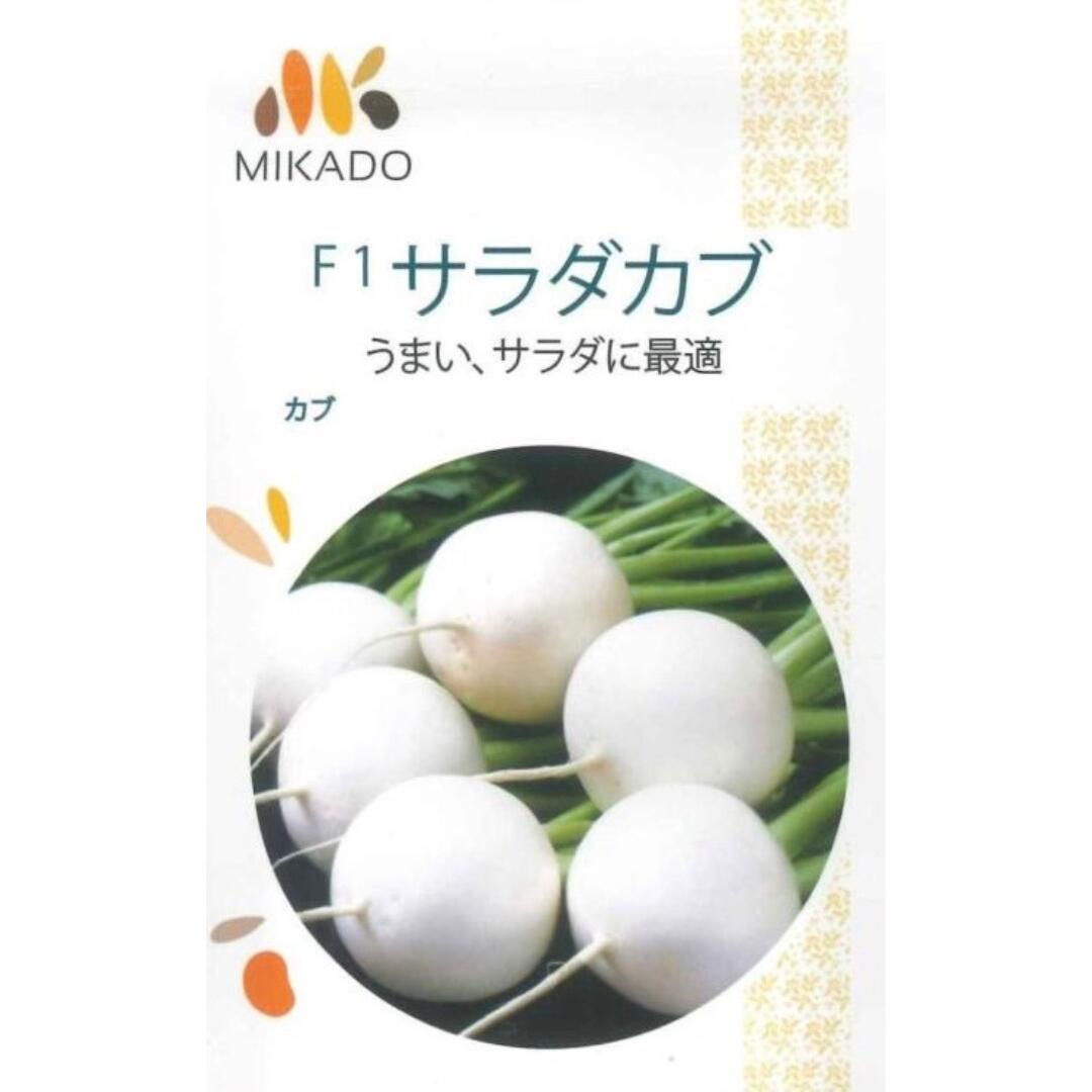 最安値挑戦中 ヴィルモランみかど サラダカブ カブ かぶ 蕪 4ml 野菜 野菜種 種子 種 たね タネ 家庭菜園 育てやすい