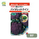 最安値挑戦中 タキイ バイオレットクイン 紫カリフラワー カリフラワー RF 野菜 野菜種 種子 種 たね タネ 家庭菜園 育てやすい