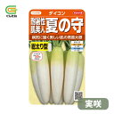 最安値挑戦中 サカタ 夏の守 実咲 大根 ダイコン だいこん 暑さに強い 種子 種 たね タネ 野菜種 野菜 家庭菜園