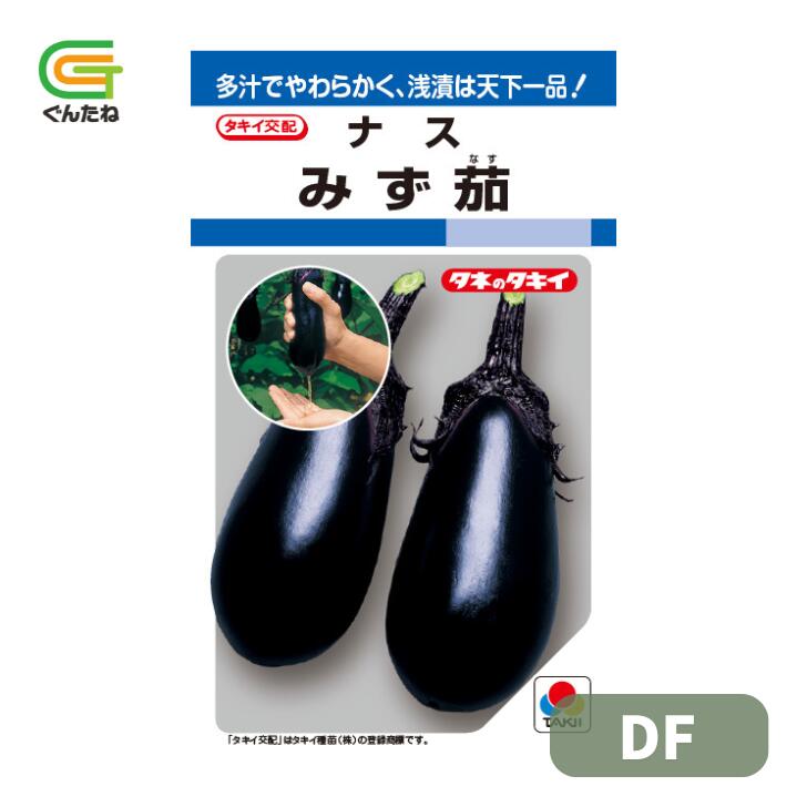 最安値挑戦中 タキイ みず茄子 DF 茄子 ナス なす 種子 種 たね タネ 野菜種 野菜 家庭菜園 多汁質で果皮がやわらかく、浅漬に適する品質！ 【特徴】1.果皮がやわらかく、多汁質で甘みがあり、浅漬用に適する食味が自慢の水ナス。2.長卵形の極早生種で初期から多収。3.色ボケ果の発生は少ない。4.節間は中程度、分枝が早く草姿は中開性。 5