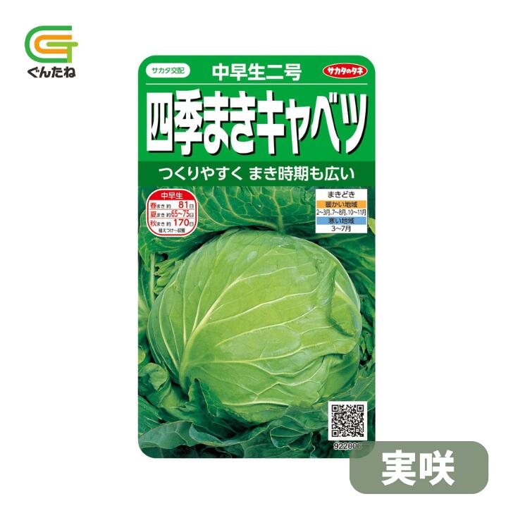 最安値挑戦中 サカタ 中早生二号 実咲 キャベツ きゃべつ 四季まき 種子 種 たね タネ 野菜種 野菜 家庭菜園 つくりやすく、まき時期が広い 【特徴】まきどきが広くてつくりやすく、家庭菜園で人気のキャベツです。玉は1.5kg前後でやや腰高の平玉。春キャベツよりややかたくしまり、すぐれた品種です。 5